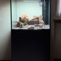 Acquario completo 150L – come nuovo