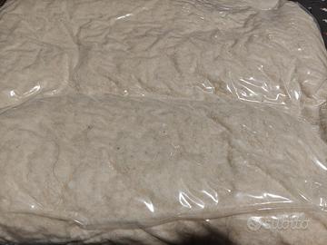 Coperta matrimoniale in pura lana Merino – NUOVA