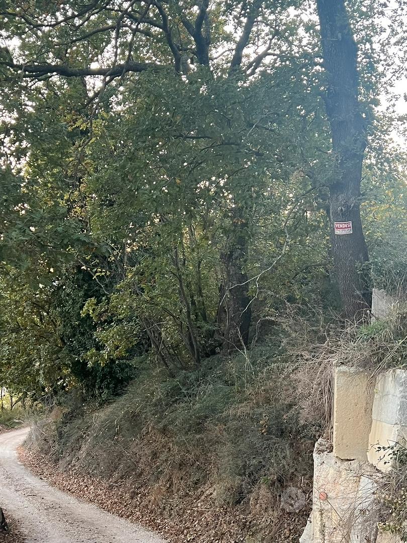 Terreno agricolo seminativo Montegiorgio - Vista 3