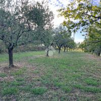 TER. AGRICOLO A PESCIA