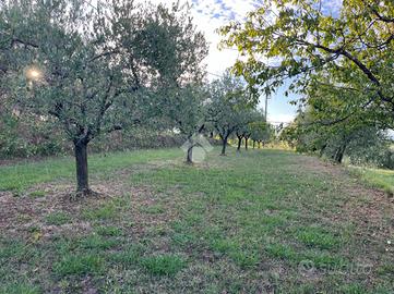TER. AGRICOLO A PESCIA