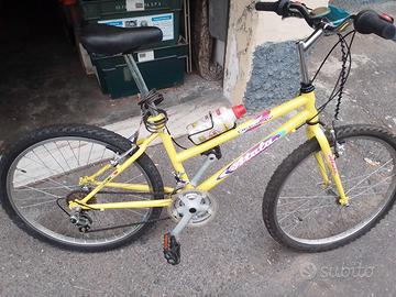 bici da ragazzo 