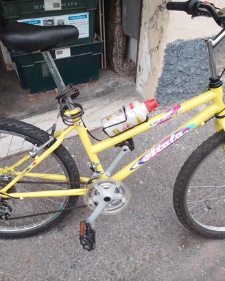 bici da ragazzo 