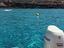Immagine 5