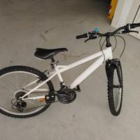 Bici da bimbo 24