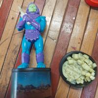 Timbri Masters of the Universe Motu Skeletor 