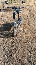 Monopattino Viron 1000