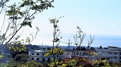 Antico casolare con molto terreno edificabile