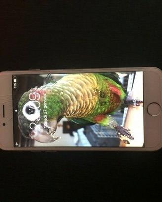 Apple Iphone 6 Silver 16 GB