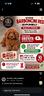 barboncino-nano-e-toy-red-consegna-gratuita