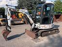 bobcat-428