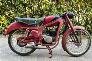 Aerocaproni Capriolo 75 TV