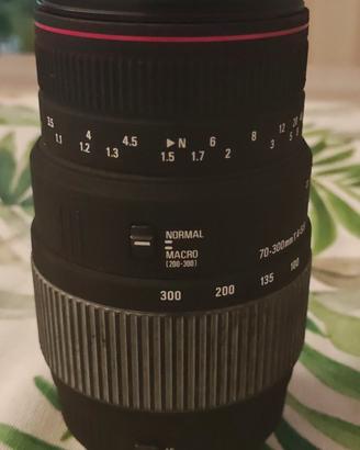 obbiettivo Sigma  70-300mm  per  Canon EF