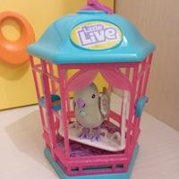 little live pappagallo interattivo 