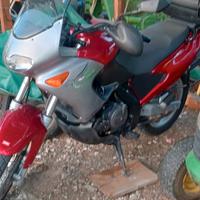 Aprilia Pegaso 650 - 2003