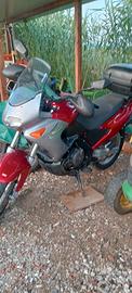 Aprilia Pegaso 650 - 2003