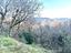 Immagine 30