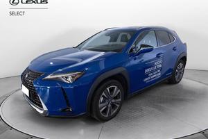 Lexus UX 300e Luxury