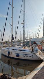 Imbarcazione a vela Bavaria C31 anno 2001 classe
