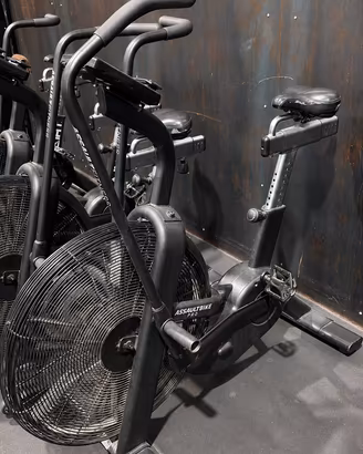 Assault Bike