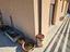 Immagine 7