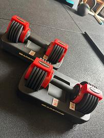 Set manubri regolabili gearstone