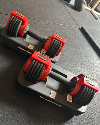 Set manubri regolabili gearstone