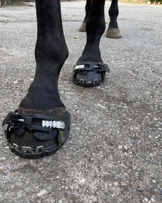 Scarpette e ferri gommati per cavalli e muli