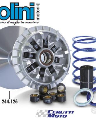 Variatore Polini Hi-Speed 8 Rulli Tmax 530 / 560