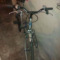Bicicletta donna 