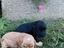 Immagine 3