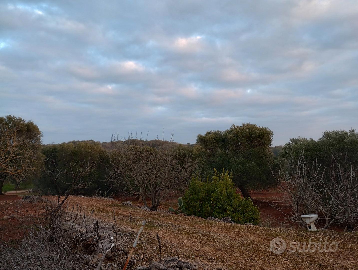 Trullo con terreno - Altro