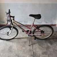 bici bicicletta MTB sovrano misura 24 