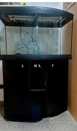 Acquario