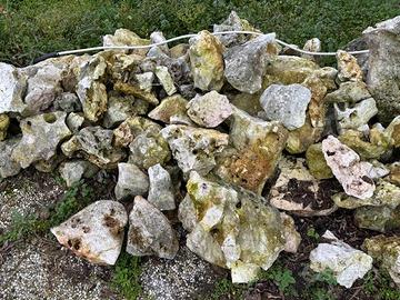 pietre per giardino roccioso