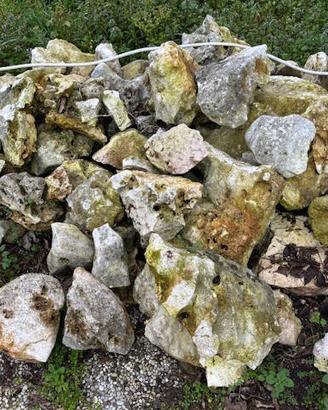 pietre per giardino roccioso