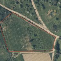 Terreno agricolo Domus de Maria con vigneto