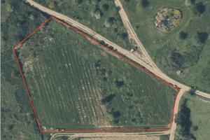 Terreno agricolo Domus de Maria con vigneto