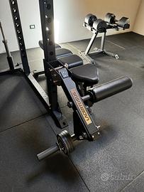 leg extension leg curl LACERTOSUS