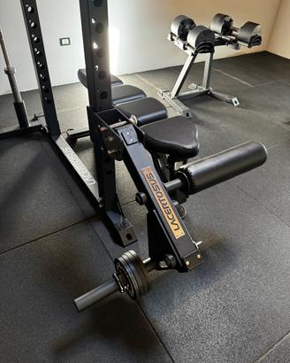 leg extension leg curl LACERTOSUS