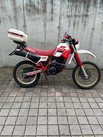 Xt 600