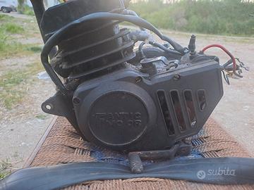 Motore Fantic 365