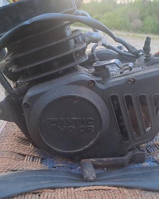 Motore Fantic 365