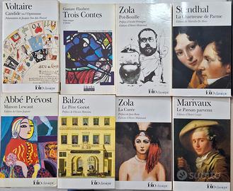 Libri letteratura francese 