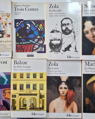Libri letteratura francese 