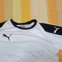 completino Puma