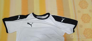 completino Puma
