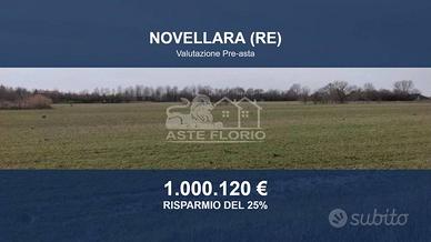 Immobile in asta di 93198 m² a Novellara