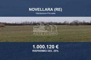 Immobile in asta di 93198 m² a Novellara