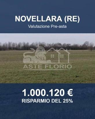 Immobile in asta di 93198 m² a Novellara
